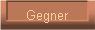 Gegner
